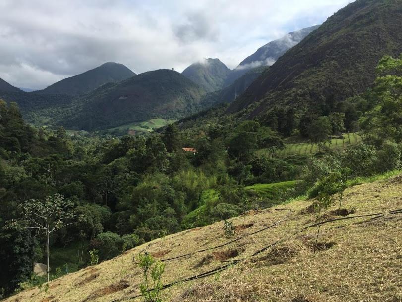Pousada Quinta Das Nascentes Petrópolis Eksteriør billede