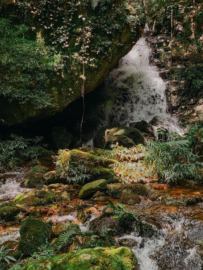 Pousada Quinta Das Nascentes Petrópolis Eksteriør billede
